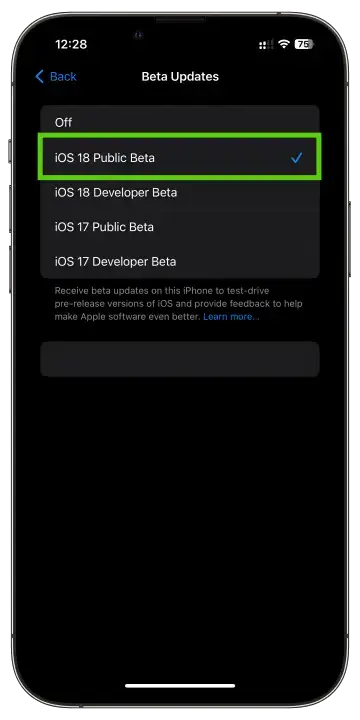 iPhone iOS 18 Public Beta Download 2